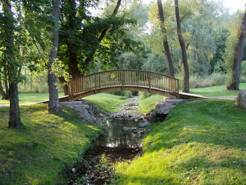 Wooden bridge over stream amongst trees in Brussels 