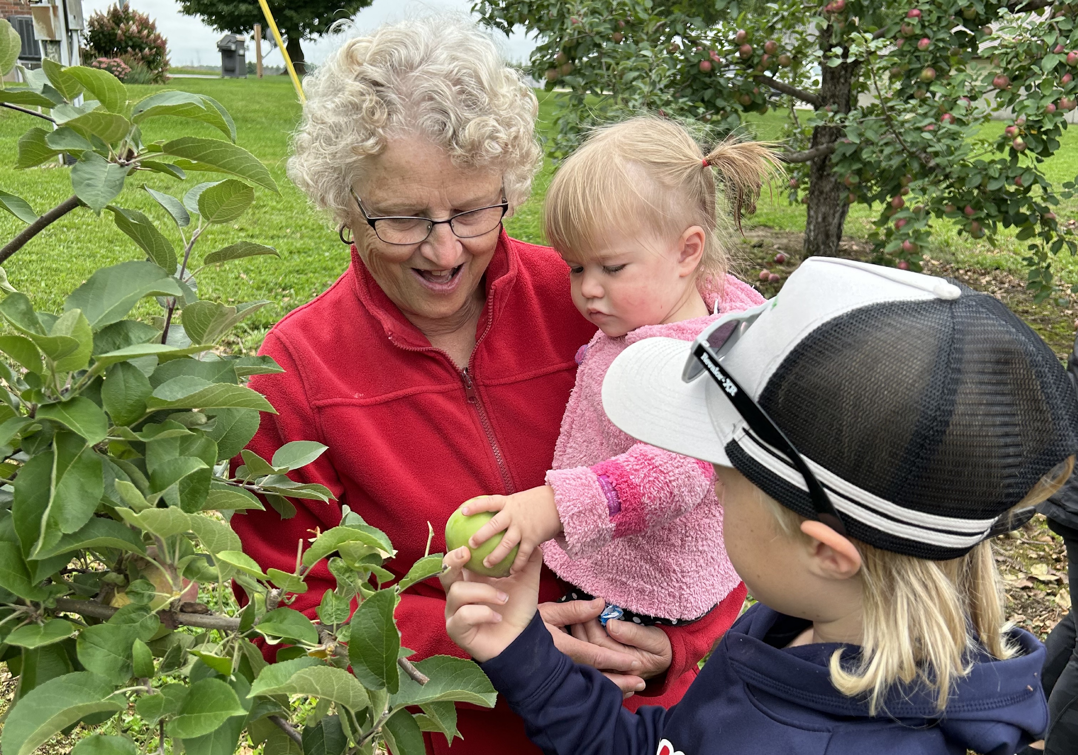 A picture of a grandma with her very young granddaughter and pre-teenaged grandson picking apples.