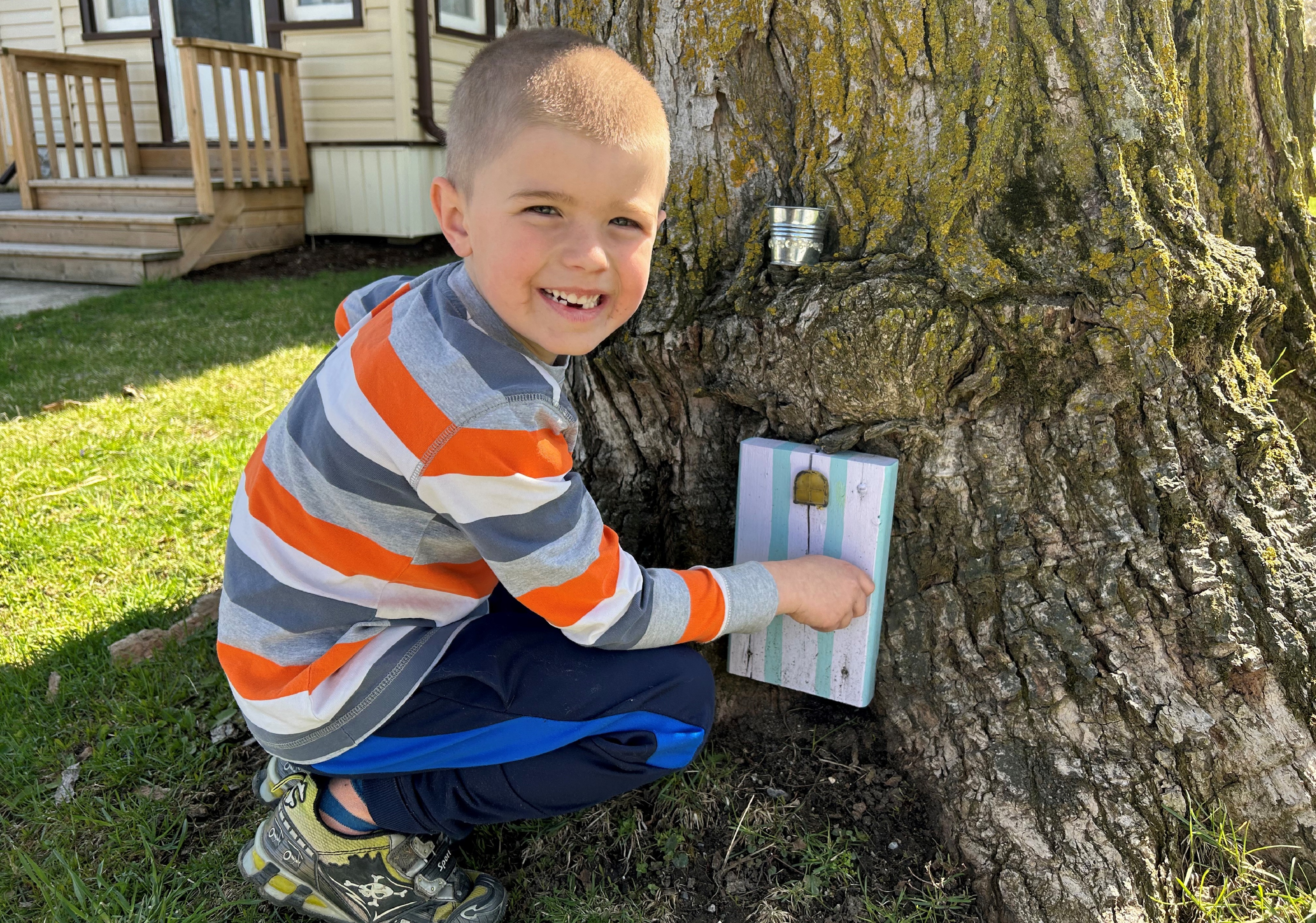 A picture of a boy pointing to a little fairy by a tree.