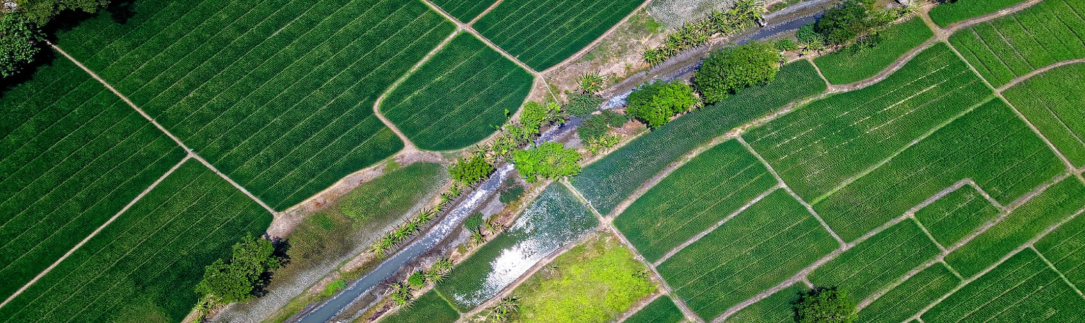 birds eye image of green fields 